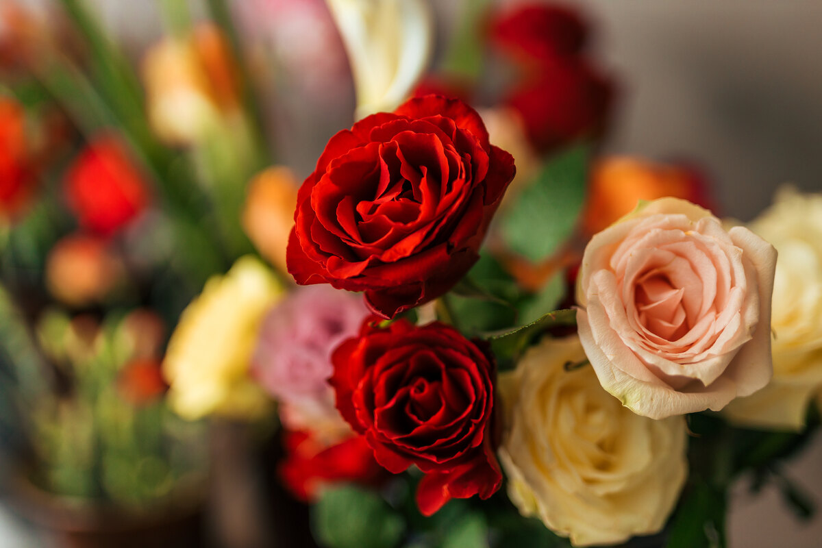 close-up-image-of-beautiful-roses-at-florist-shop-2023-11-27-05-24-48-utc